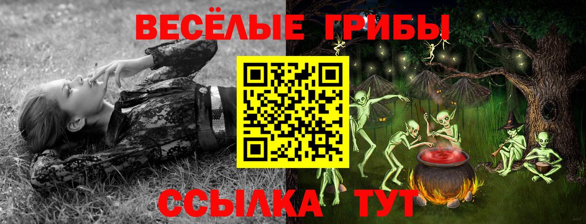 Галлюциногенные грибы Magic Shrooms  Галлюциногенные грибы Psilocybe  Вход с VPN  Орск 
