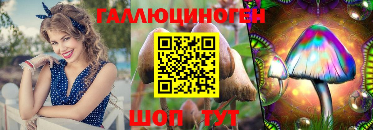 Галлюциногенные грибы мухоморы Орск